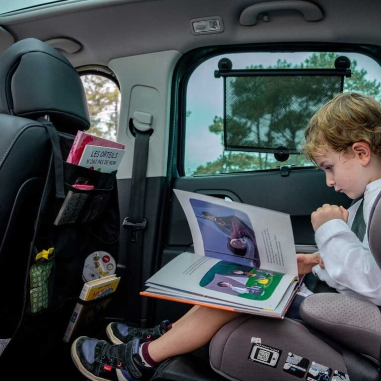 Ezi - Organizer/Protector Καθίσματος Αυτοκινήτου