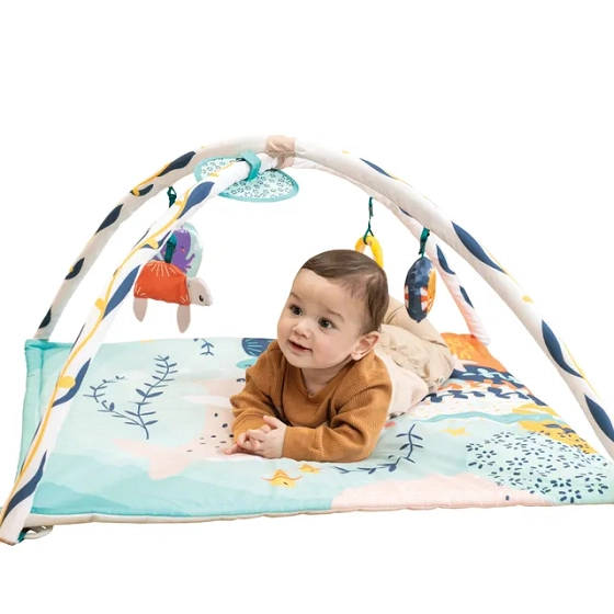 Underwater Wonders 3-in-1 Activity Gym™