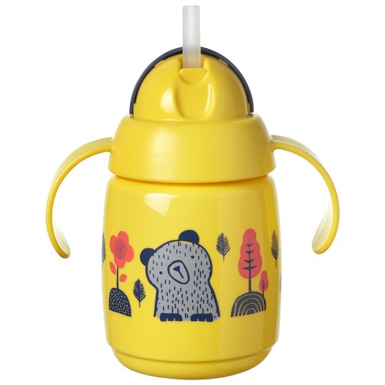 Tommee Tippee Εκπαιδευτικό Μπιμπερό με Λαβές 6m+ 300ml