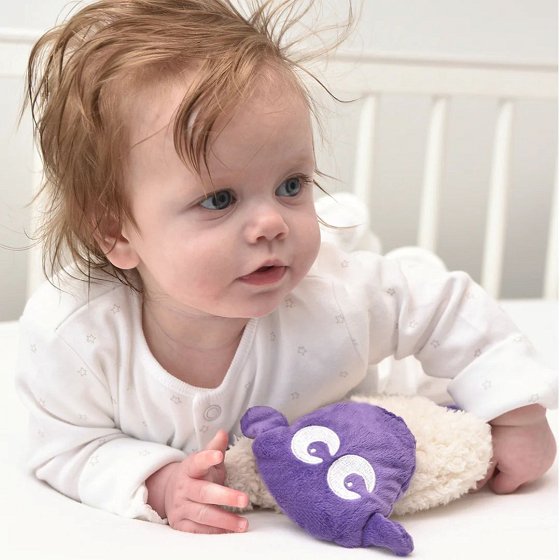 Ewan sheep Snuggly purple